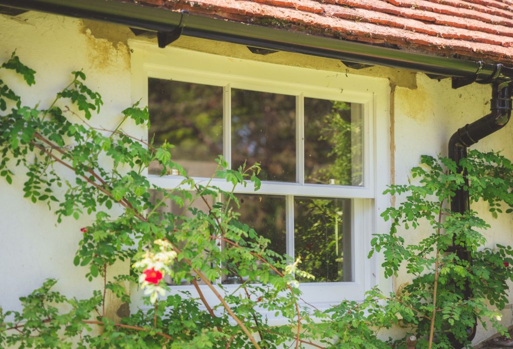 painting timber sash windows